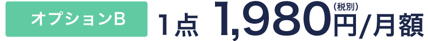 オプションB 1点 1,980円(税別) /月額