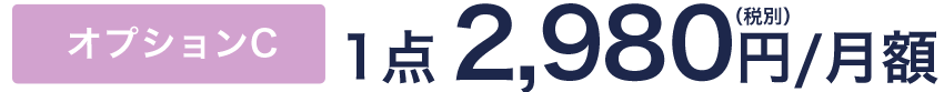 オプションC 1点 2,980円(税別)/月額